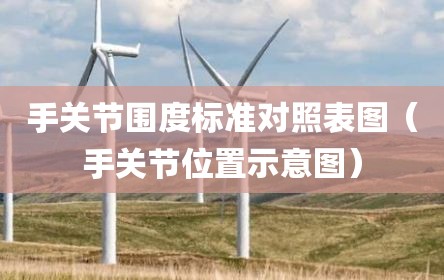 手关节围度标准对照表图（手关节位置示意图）
