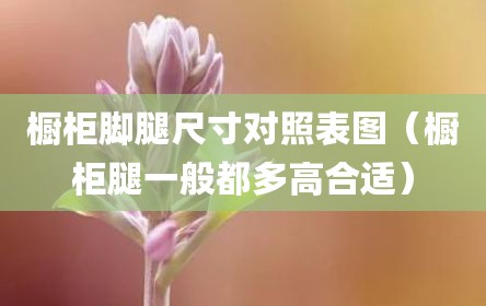 橱柜脚腿尺寸对照表图（橱柜腿一般都多高合适）