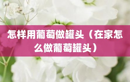 怎样用葡萄做罐头（在家怎么做葡萄罐头）