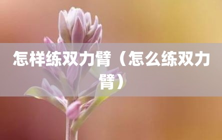 怎样练双力臂（怎么练双力臂）