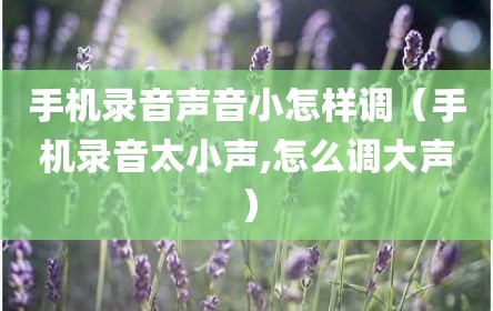 手机录音声音小怎样调（手机录音太小声,怎么调大声）