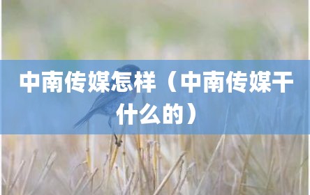 中南传媒怎样（中南传媒干什么的）