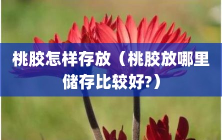桃胶怎样存放（桃胶放哪里储存比较好?）