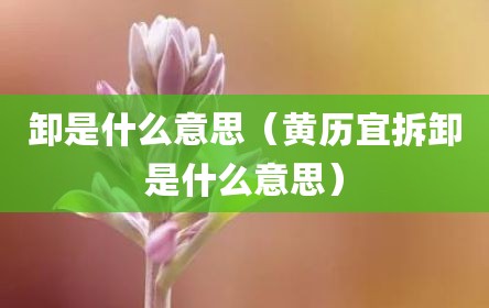 卸是什么意思（黄历宜拆卸是什么意思）
