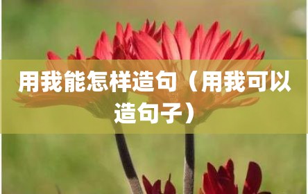 用我能怎样造句（用我可以造句子）