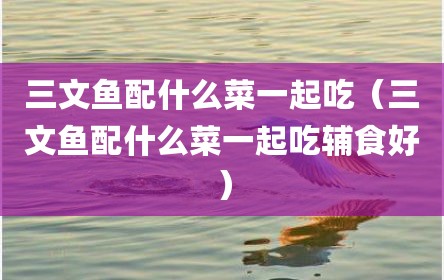 三文鱼配什么菜一起吃（三文鱼配什么菜一起吃辅食好）