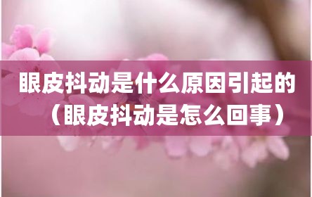 眼皮抖动是什么原因引起的（眼皮抖动是怎么回事）