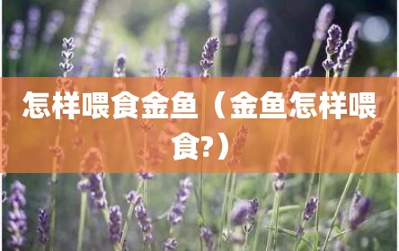怎样喂食金鱼（金鱼怎样喂食?）