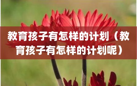 教育孩子有怎样的计划（教育孩子有怎样的计划呢）
