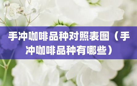 手冲咖啡品种对照表图（手冲咖啡品种有哪些）