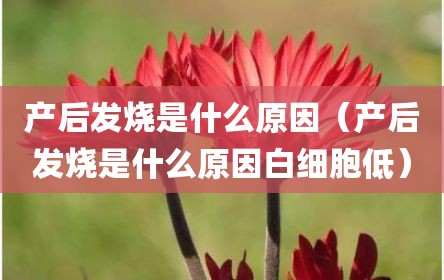 产后发烧是什么原因（产后发烧是什么原因白细胞低）
