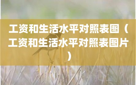 工资和生活水平对照表图（工资和生活水平对照表图片）