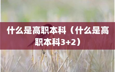 什么是高职本科（什么是高职本科3+2）