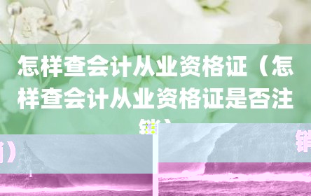 怎样查会计从业资格证（怎样查会计从业资格证是否注销）