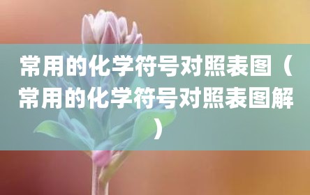 常用的化学符号对照表图（常用的化学符号对照表图解）