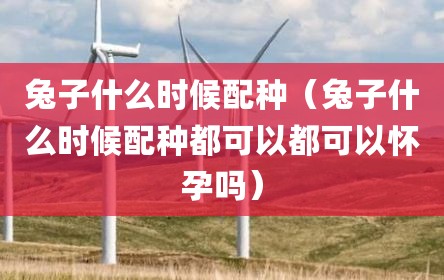 兔子什么时候配种（兔子什么时候配种都可以都可以怀孕吗）
