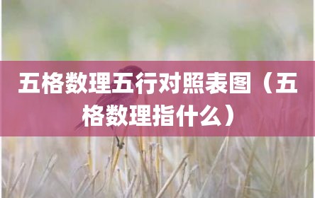 五格数理五行对照表图（五格数理指什么）