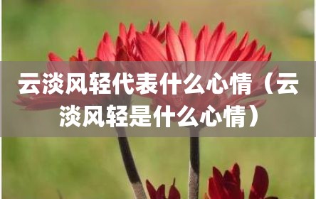云淡风轻代表什么心情（云淡风轻是什么心情）