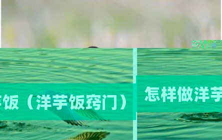 怎样做洋芋饭（洋芋饭窍门）
