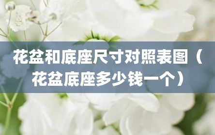 花盆和底座尺寸对照表图（花盆底座多少钱一个）