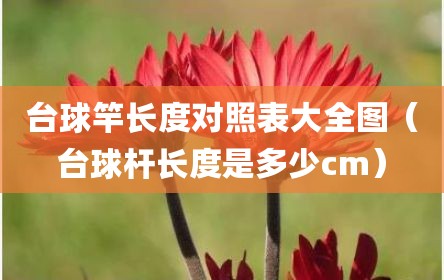 台球竿长度对照表大全图（台球杆长度是多少cm）