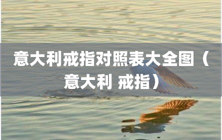 意大利戒指对照表大全图（意大利 戒指）