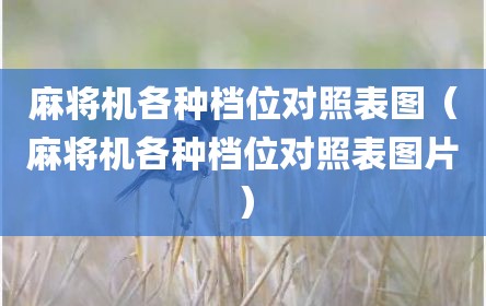麻将机各种档位对照表图（麻将机各种档位对照表图片）