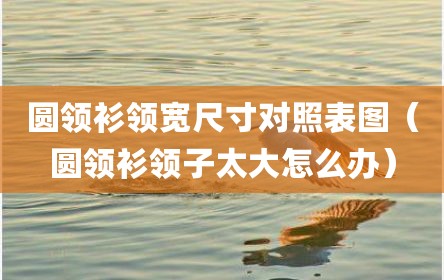 圆领衫领宽尺寸对照表图（圆领衫领子太大怎么办）