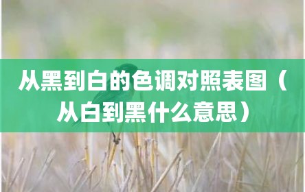 从黑到白的色调对照表图（从白到黑什么意思）