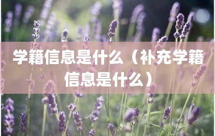 学籍信息是什么（补充学籍信息是什么）