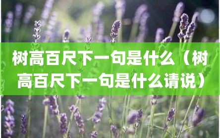 树高百尺下一句是什么（树高百尺下一句是什么请说）