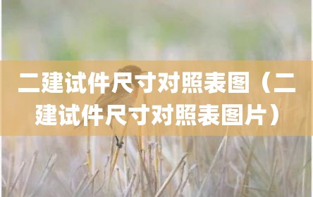 二建试件尺寸对照表图（二建试件尺寸对照表图片）