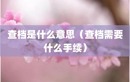 查档是什么意思（查档需要什么手续）