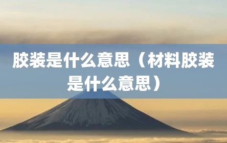 胶装是什么意思（材料胶装是什么意思）