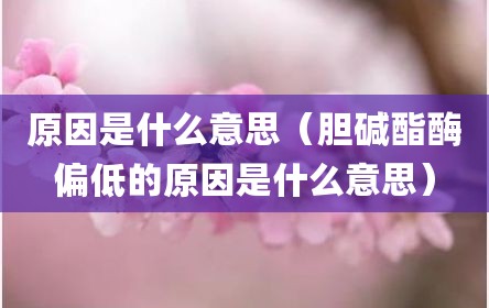 原因是什么意思（胆碱酯酶偏低的原因是什么意思）