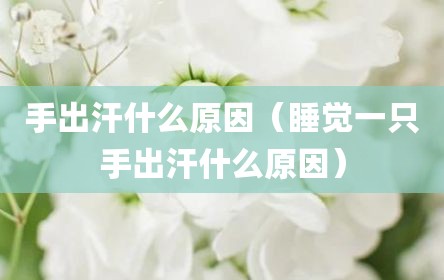 手出汗什么原因（睡觉一只手出汗什么原因）