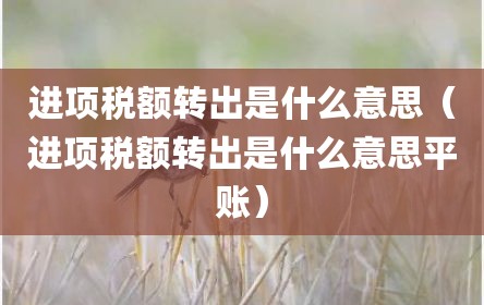 进项税额转出是什么意思（进项税额转出是什么意思平账）