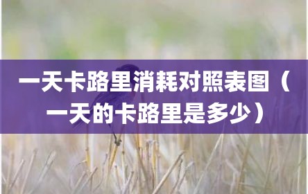 一天卡路里消耗对照表图（一天的卡路里是多少）