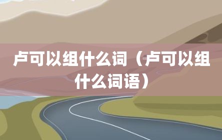 卢可以组什么词（卢可以组什么词语）
