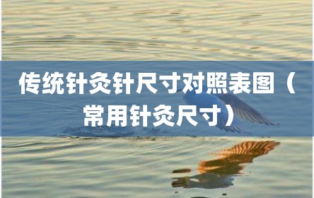 传统针灸针尺寸对照表图（常用针灸尺寸）