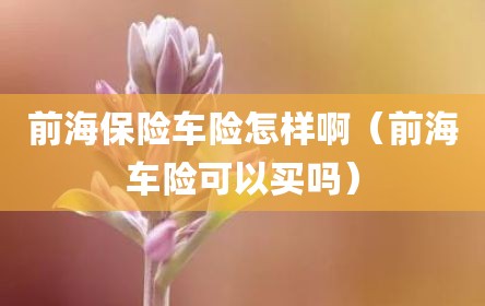 前海保险车险怎样啊（前海车险可以买吗）