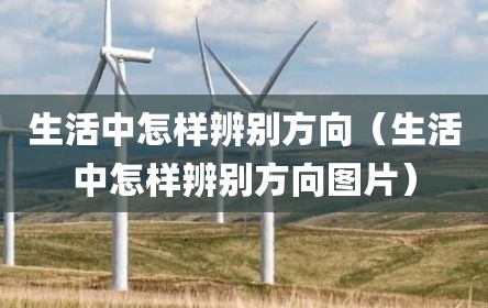 生活中怎样辨别方向（生活中怎样辨别方向图片）