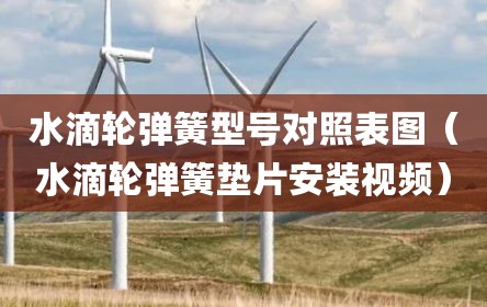 水滴轮弹簧型号对照表图（水滴轮弹簧垫片安装视频）
