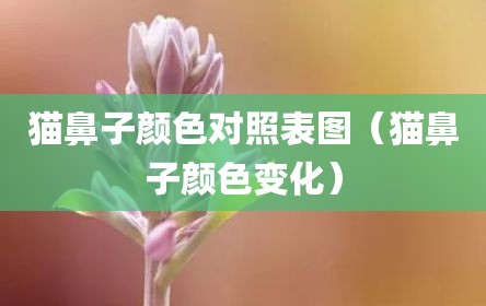 猫鼻子颜色对照表图（猫鼻子颜色变化）