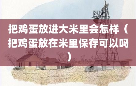 把鸡蛋放进大米里会怎样（把鸡蛋放在米里保存可以吗）