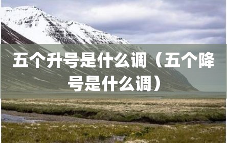 五个升号是什么调（五个降号是什么调）