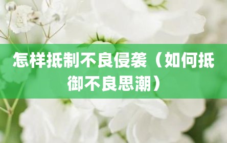 怎样抵制不良侵袭（如何抵御不良思潮）