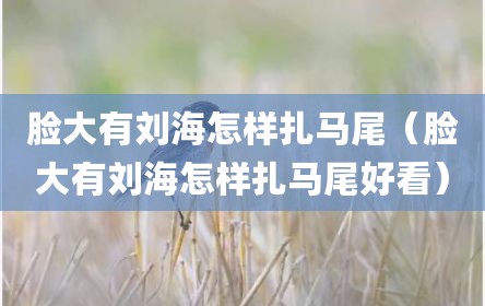 脸大有刘海怎样扎马尾（脸大有刘海怎样扎马尾好看）