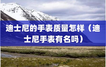 迪士尼的手表质量怎样（迪士尼手表有名吗）