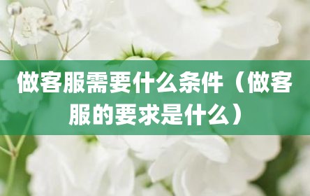 做客服需要什么条件（做客服的要求是什么）